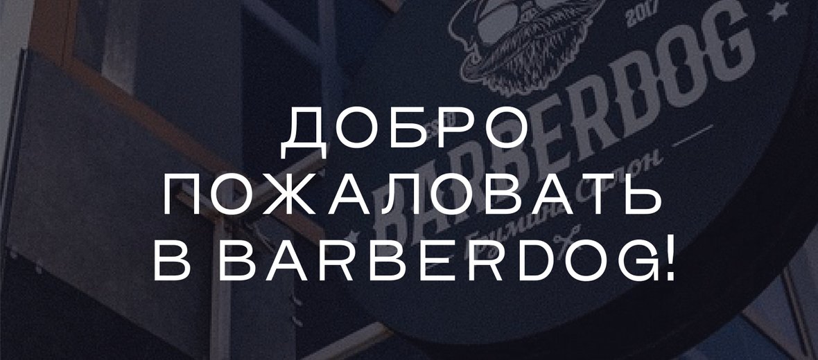 Фотогалерея - Груминг-салон Barberdog на улице Княжнина