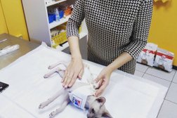 Ветеринарная клиника Белый бульдог, с рейтингом 2.4 - находится по адресу Республика Башкортостан, Уфа, Российская, 94/3 