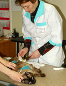 Кутепова Татьяна Юрьевна