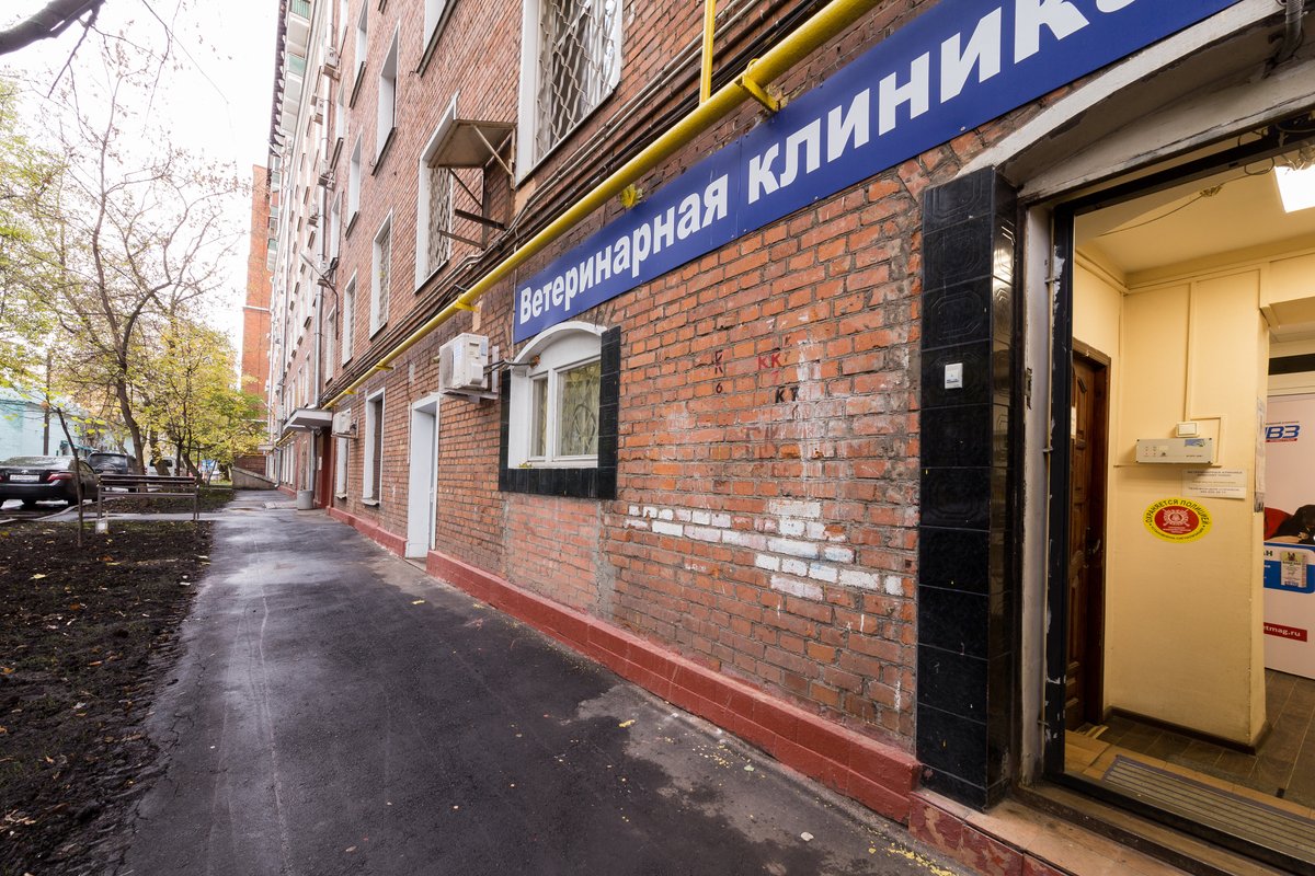 Ветеринарная клиника Айболит Плюс на Люсиновской улице - отзывы, фото ...