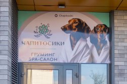 Зоосалон Чапитосики, с рейтингом 4.4 - находится по адресу Московская область, Мытищи, проспект Астрахова, 1 к1 
