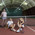 фотография Cooltennis