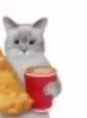 Издатель, акушер Софья Александровна Соколовская