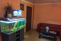 Автомойка на Цветочном проезде, 8