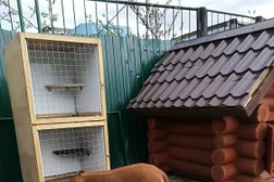 Гостиница для животных Котопёс, с рейтингом 3.4 - находится по адресу Мурманск, Хибинский переулок, 5а/1 