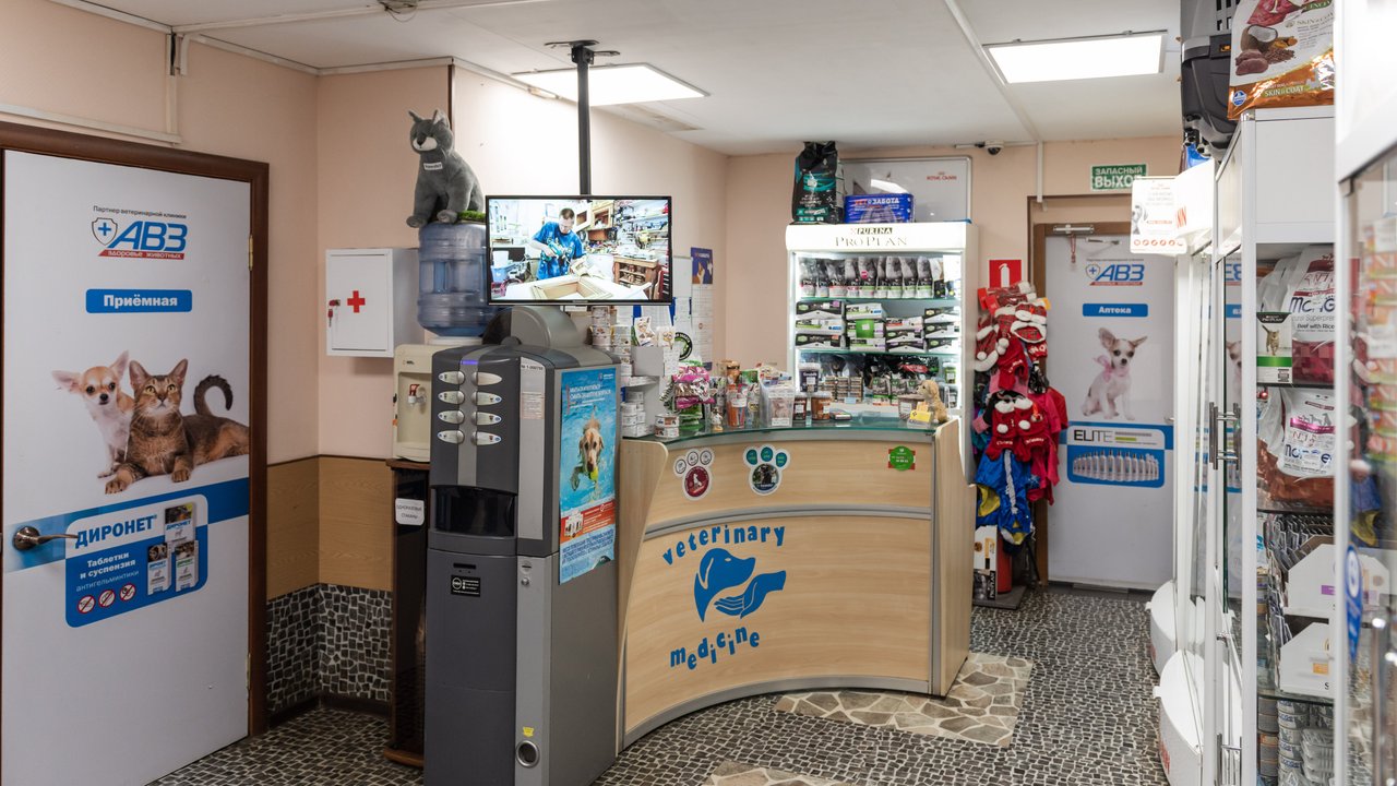 Молодцова 4а. Ветеринарный центр ул молодцова 4а. Молодцова, 4а, москва. Ветеринарный центр ул молодцова 4а. Молодцова, 4а, москва.