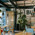 фотография Bar and Crab