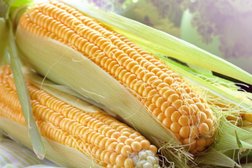 Компания Элеватор, с рейтингом 5 - находится по адресу Ставрополь, улица Пирогова, 68а 