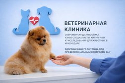 Ветеринарная клиника Ветеринарный Лазарет, с рейтингом 4.7 - находится по адресу Краснодар, улица Бабушкина, 226 