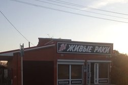 Магазин по продаже раков