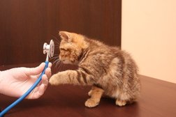 Ветеринарная клиника ЗооДоктор, с рейтингом 3.4 - находится по адресу Рязань, Татарская улица, 91 