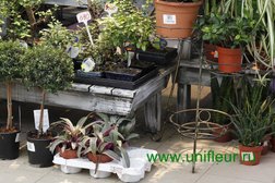 Супермаркет растений и цветов Юнифлер, с рейтингом 3.8 - находится по адресу Ростов-на-Дону, 24-я линия, 27/95 