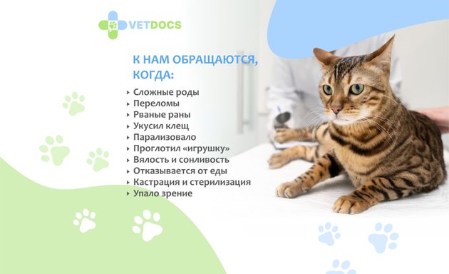 Анализ на токсоплазмоз у кошек в Москве – Сделать на токсоплазмоз у кошек:  595 ветеринарных клиник, 3311 отзывов, фото – Zoon.ru