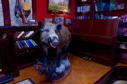 Детский квест Путешествие в мир оружия, с рейтингом 3.4 - находится по адресу Санкт-Петербург, Новгородская улица, 27 