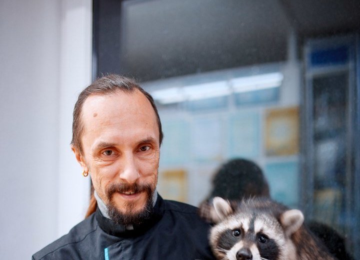 доктор кротов. клиника доктора кротова ярославль. доктор кротов ростов. доктор кротов ростов. ветеринарная клиника доктора кротова.