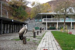 Соколиный питомник Сункар, с рейтингом 3.4 - находится по адресу Алматы, Алма-Арасан, 7 