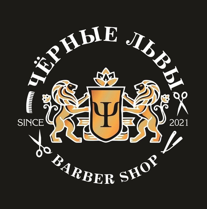 Черные львы ул рощина 3 фото