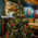 фотография Mollie`s Pub