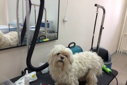 Ветеринарная клиника МОС ВЕТ, с рейтингом 4.2 - находится по адресу Москва, Пятницкое шоссе, 57 