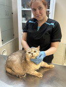 Фризен Ксения Владимировна