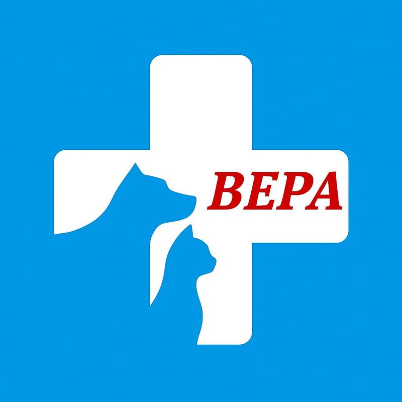 фотография Ветеринарной клиники Вера на проспекте Юрия Гагарина
