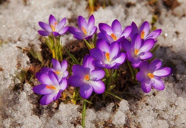 Детский сад Ручеек №15 комбинированного вида на улице Калинина в Балашихе,  Москва 📍 отзывы, фото, цены, телефон и адрес - Zoon.ru