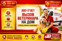 Выездная ветеринарная служба ЗООВЕТ-Дом, с рейтингом 4.9 - находится по адресу Московская область, Мытищи, проспект Астрахова, 6 