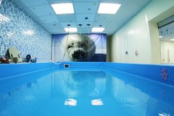 Детский бассейн Нерпёнок, с рейтингом 4 - находится по адресу Иркутск, проезд Юрия Тена, 18 