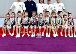 Гимнастический клуб tavros автовская ул 31б фото