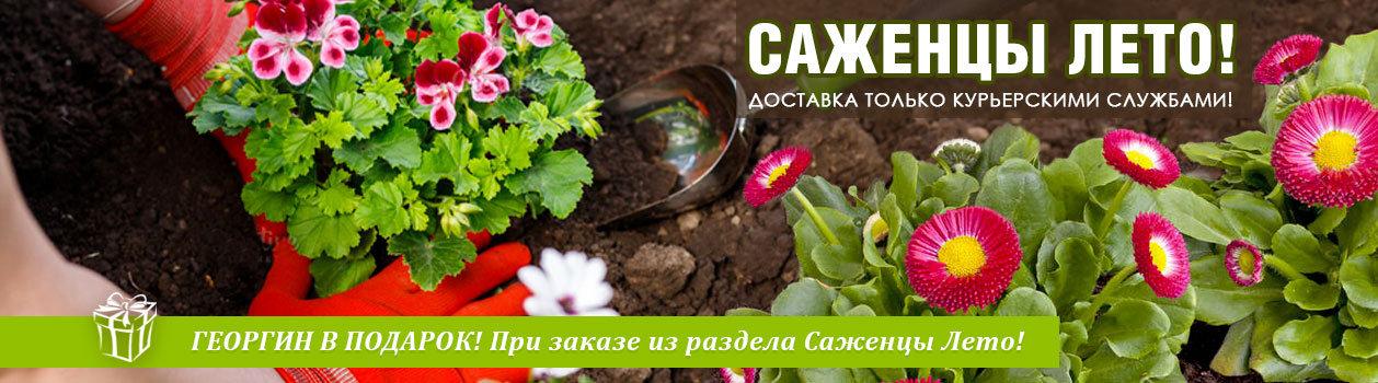 Интернет Магазин Садовый Мир Отзывы Покупателей