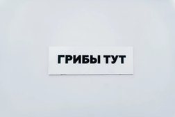 Рекламное агентство Mygribs, с рейтингом 4.3 - находится по адресу Санкт-Петербург, Большой проспект П.С., 48 