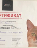 Строков Максим Андреевич