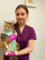 Ветеринарный врач-терапевт, ветеринарный врач УЗИ Алена Владимировна Грибова