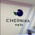 фотография Chernika beauty