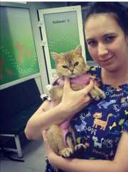 Ветеринарный анестезиолог-реаниматолог, ветеринарный врач-терапевт Алина Георгиевна Ситникова