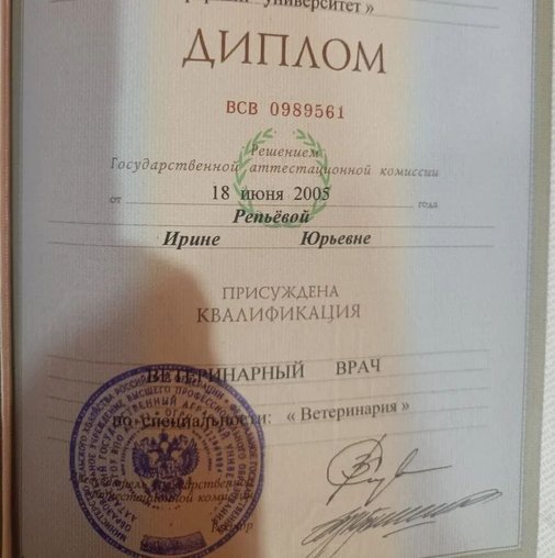 Ирина Юрьевна Репьёва