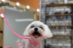 Зооцентр Гарфилд, с рейтингом 2.7 - находится по адресу Краснодарский край, Туапсе, улица Маршала Жукова, 16 