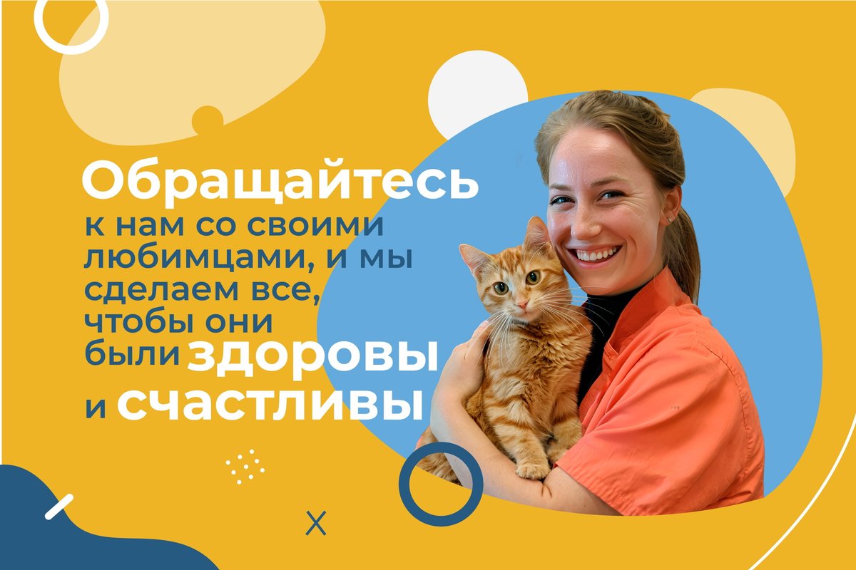 фотография Выездной ветеринарной службы ЗООВЕТ-Дом на Восточной улице в Долгопрудном