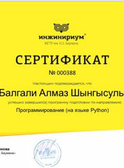 Преподаватель по программированию Алмаз Балгали