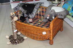 Зоомагазин Котопёс, с рейтингом 5 - находится по адресу Калужская область, Малоярославец, Калужская улица, 31 