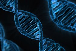 CLD Центр Лабораторной Диагностики