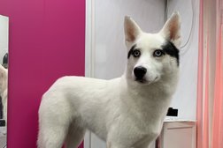 Зоосалон Матильда, с рейтингом 3.3 - находится по адресу Сочи, Дивноморская улица, 1 