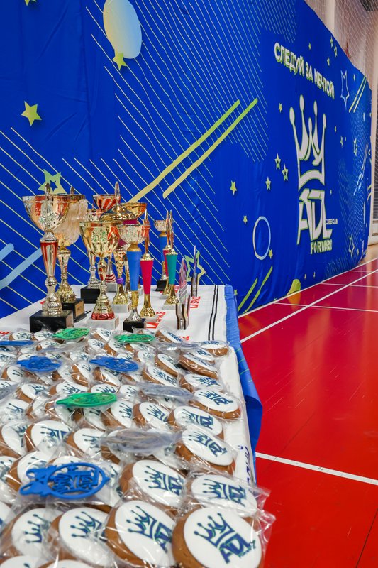 фотография работы Спортивного клуба Adl Forward Cheer на метро Народное Ополчение