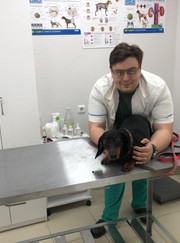 Ветеринарный рентгенолог, ветеринар Дмитрий Александрович Пархомов