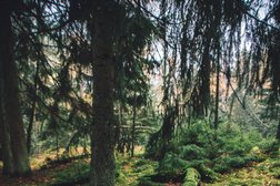 Туроператор Янтарный Кенигсберг, с рейтингом 4.9 - находится по адресу Калининград, улица Профессора Баранова, 34 