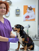 Якубовская Юлия Павловна