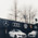 фотография Aerf Xdrive BMW