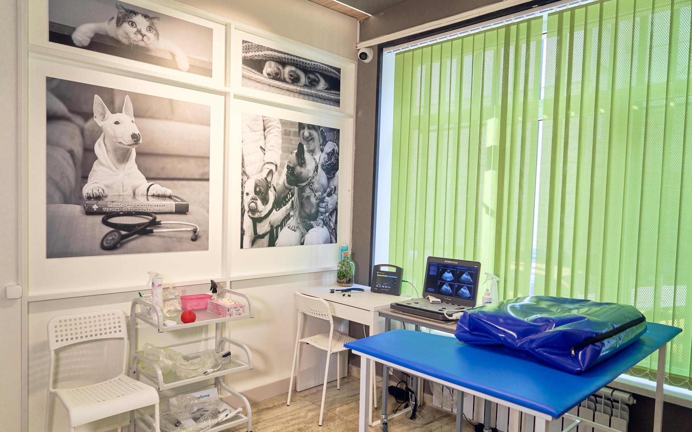 Белый Буль, ветеринарная клиника на бульваре Дмитрия Донского в Москве ...