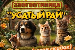 Зоогостиница Усатый Рай, с рейтингом 5 - находится по адресу Сочи, микрорайон Блиново, Лесная улица, 19 
