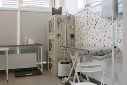 Ветеринарный центр Дейли, с рейтингом 4.7 - находится по адресу Оренбург, улица Юркина, 8А 